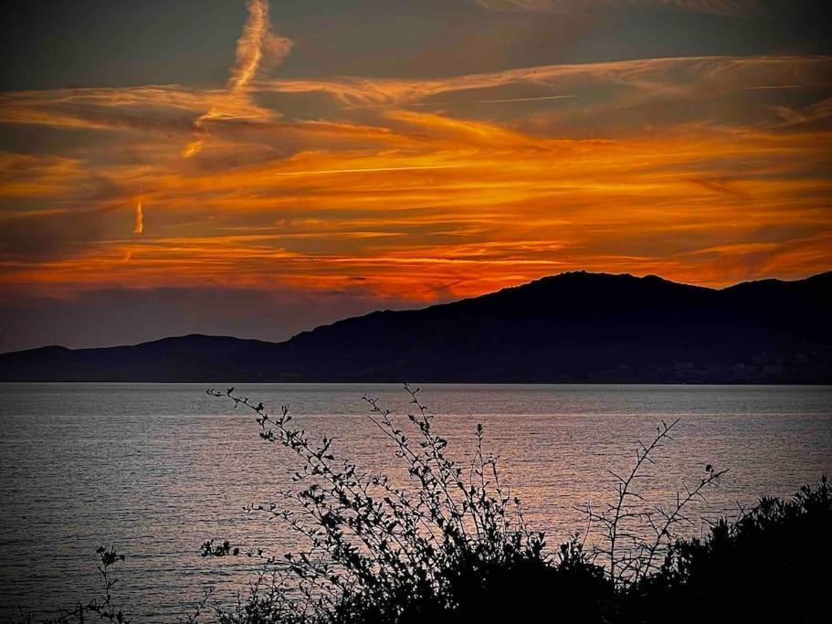 Villa Proche Ajaccio Et Mer Exclusive 2 A 10 Voyageurs Bastelicaccia Bagian luar foto